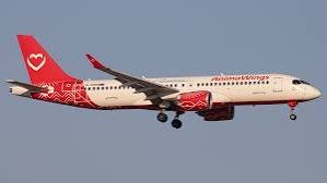 Animawings Suspends All Flights Through October 24 After Insolvency Filing