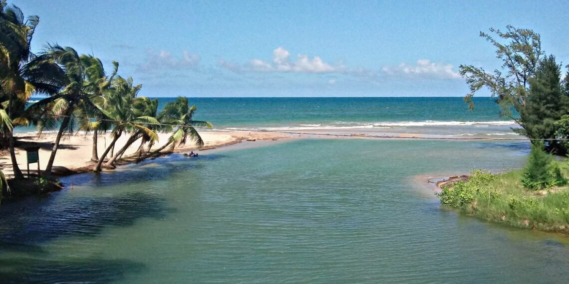 Desembocadura Río Herrera (Herreras, Río Grande, Puerto Rico)
