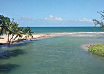Desembocadura Río Herrera (Herreras, Río Grande, Puerto Rico)