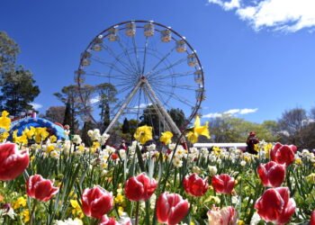 6 Festivals in Australia and New Zealand (Oct. 2–16)