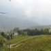 Happy Valley Tea Estate, Darjeeling, India