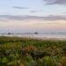 Naples, Florida pier at sunset