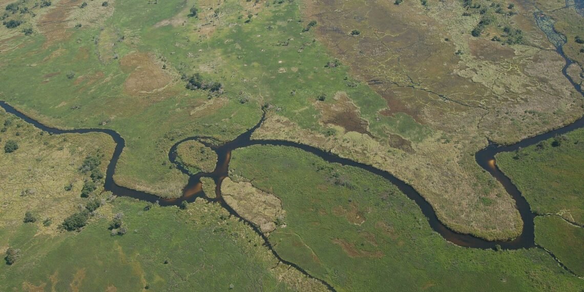 Okavango Delta, Botswana1