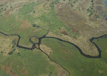 Okavango Delta, Botswana1
