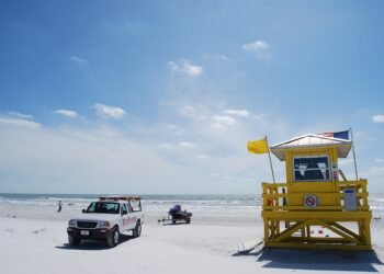 Siesta Key Beach. Sarasota - panoramio - 4net (6)