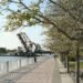 The Tampa Riverwalk along the Hillsborough River in downtown Tampa, Florida